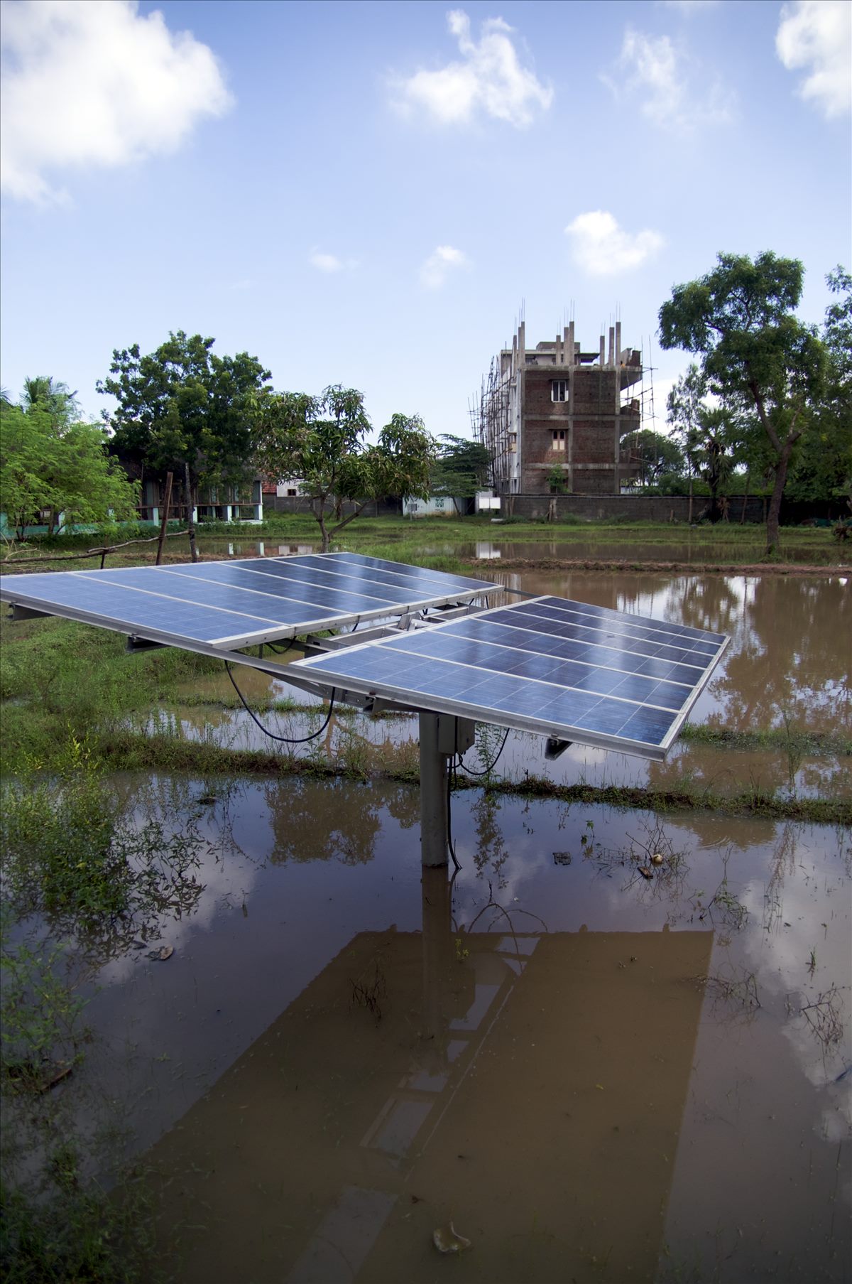 A solar array installed in a field in India.